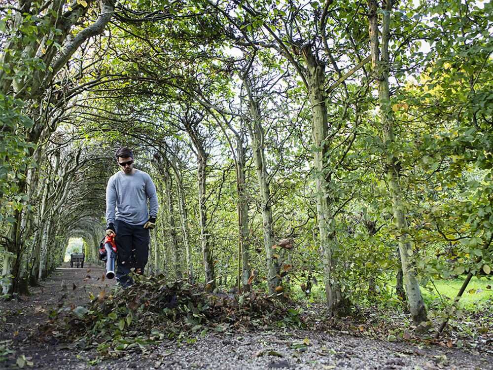 Akku-Blasgerät 4Ah 56V Echo DPB-600 – Bild 3