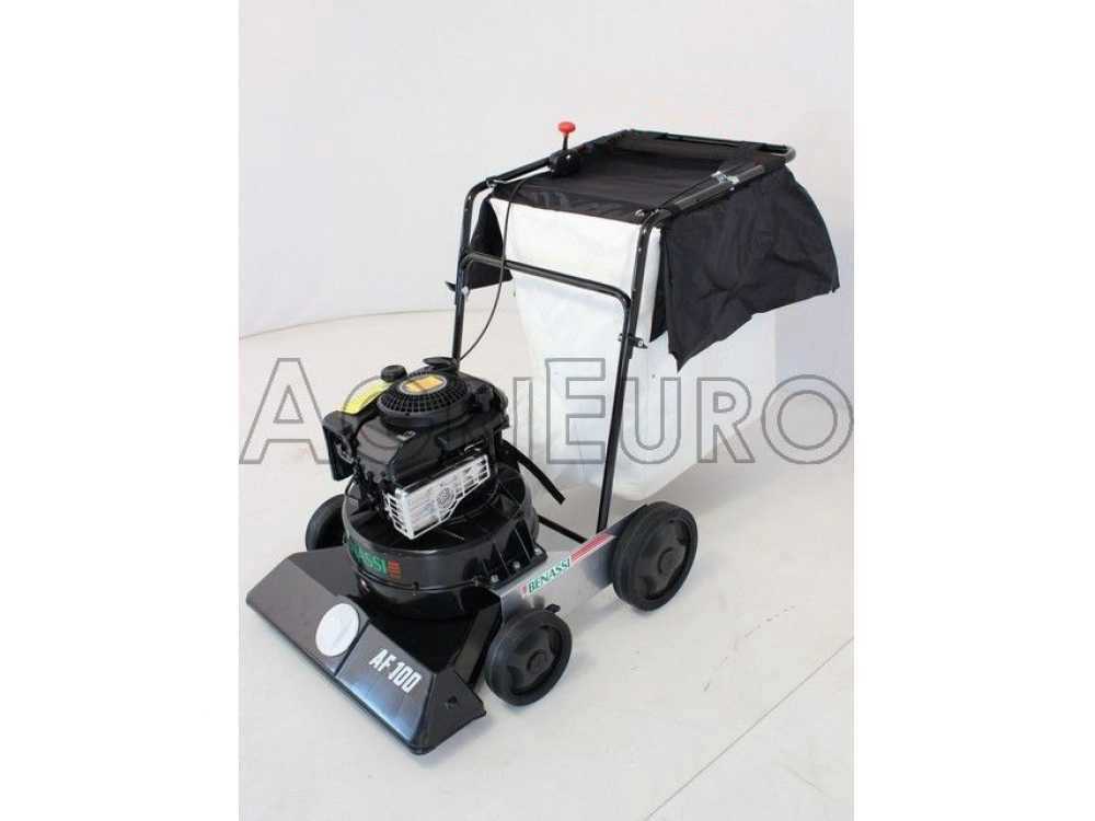 Benassi AF 100 - Laubsauger auf Räder zum Schieben - B&S 675 EXi – Bild 4