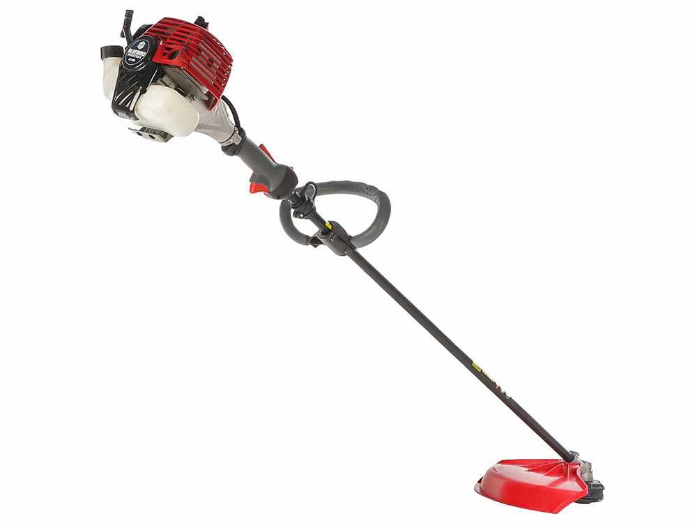 Blue Bird BC 280 L – Freischneider mit Verbrennungsmotor – Bild 3