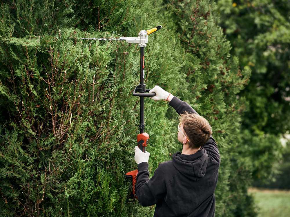 Blue Bird PHT 23-54 - Akku-Heckenschere auf Verlängerungsstange - 50,4V / 5Ah – Bild 4