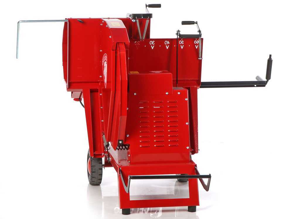 Ceccato Olindo SGT TRI - Wippkreissäge - Stammsäge - 400V – Bild 3