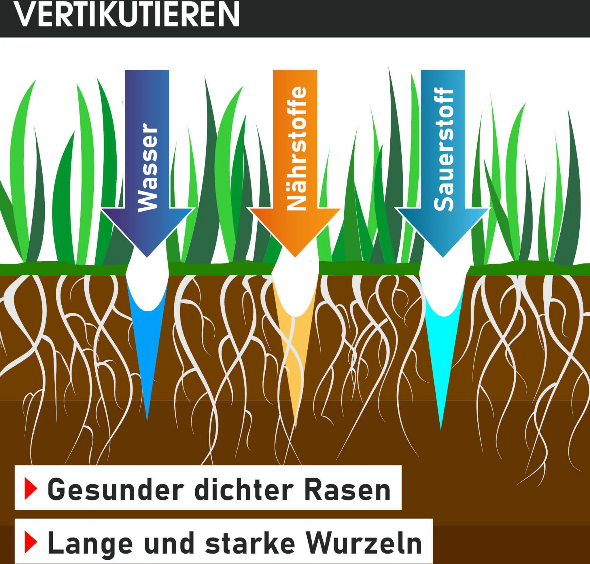 BRAST Benzin Vertikutierer 40212s – Bild 9